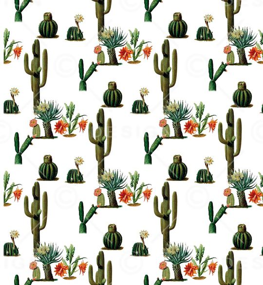 仙人掌印花华亿平台图片