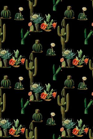 仙人掌印花华亿平台图片