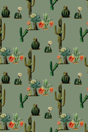 仙人掌印花华亿平台图片