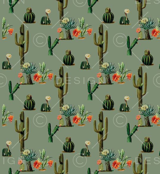 仙人掌印花华亿平台图片