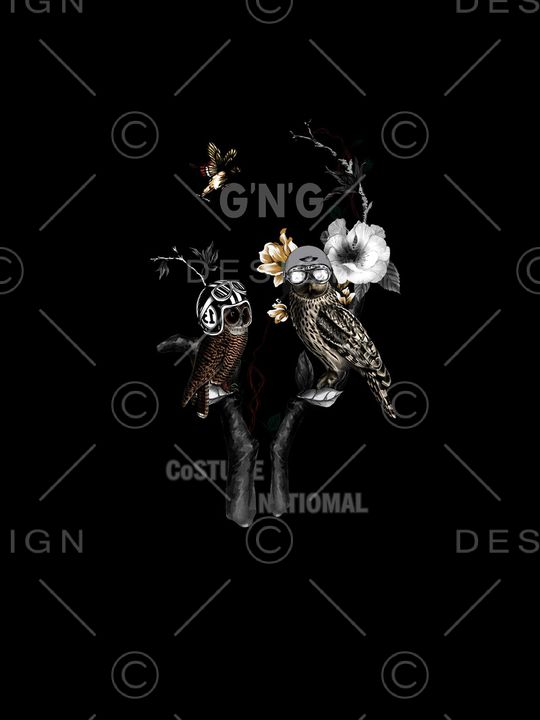 猫头鹰印花华亿平台图片