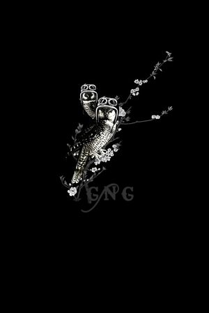 猫头鹰印花华亿平台图片