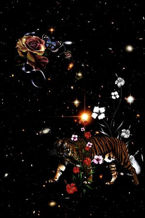 卡通印花华亿平台图片