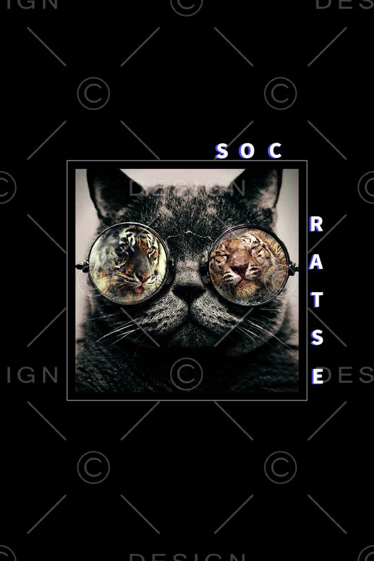 定位花印花华亿平台图片