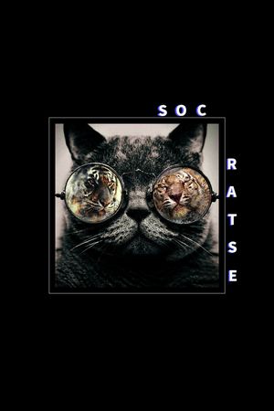 定位花印花华亿平台图片