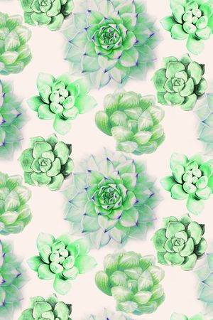 大花印花华亿平台图片