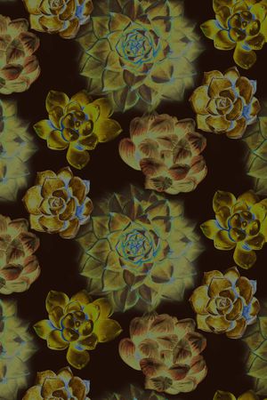 大花印花华亿平台图片