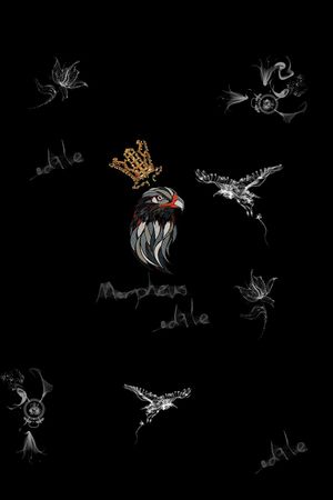 艺术印花华亿平台图片