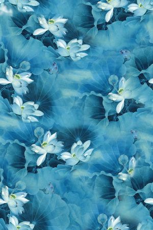 淑女印花华亿平台图片