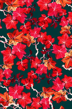 中老年印花华亿平台图片