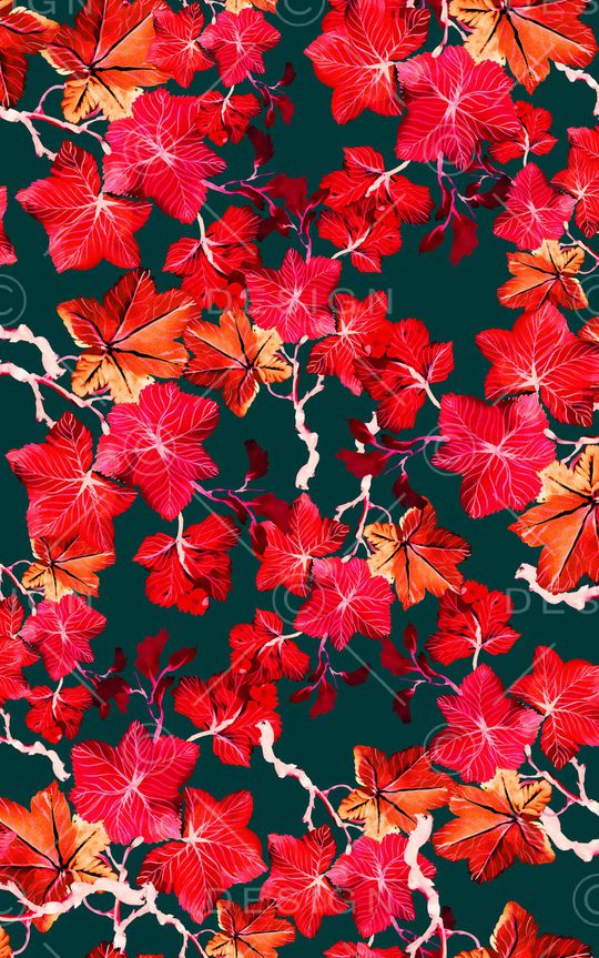 中老年印花华亿平台图片