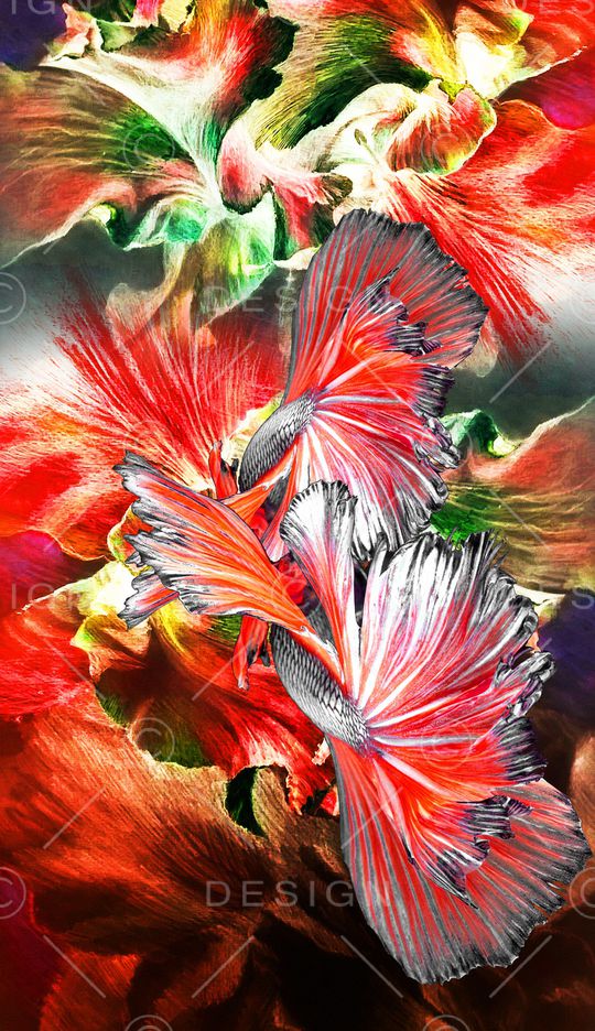 线条印花华亿平台图片