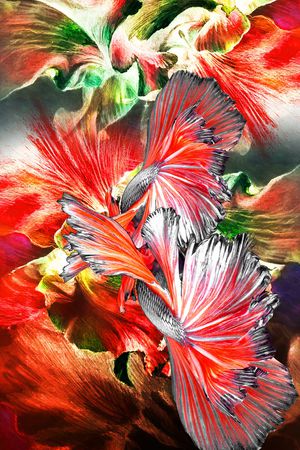 线条印花华亿平台图片