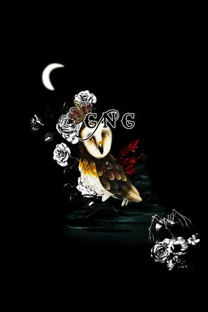 猫头鹰印花华亿平台图片