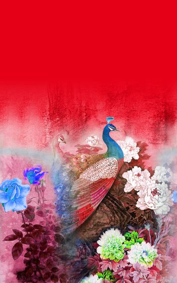 1091901-182# 定位孔雀 红