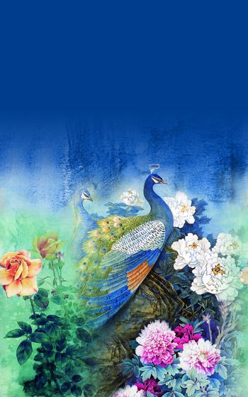 1091925-182# 定位孔雀