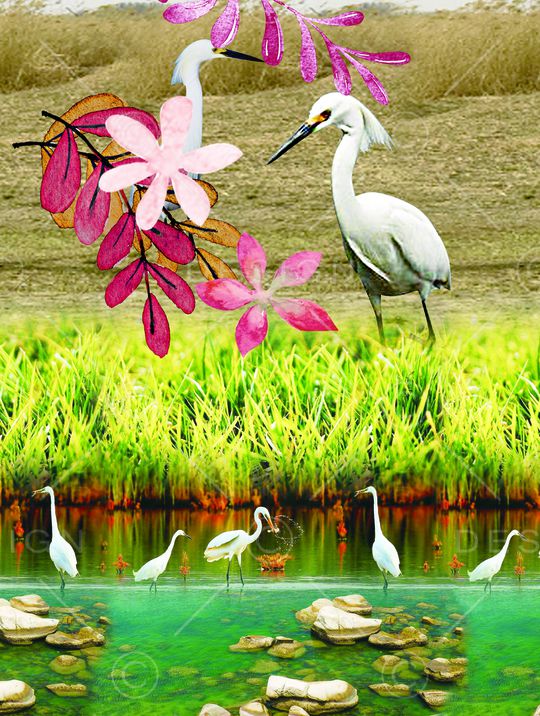 印花印花华亿平台图片