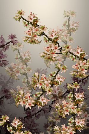 定位花印花华亿平台图片