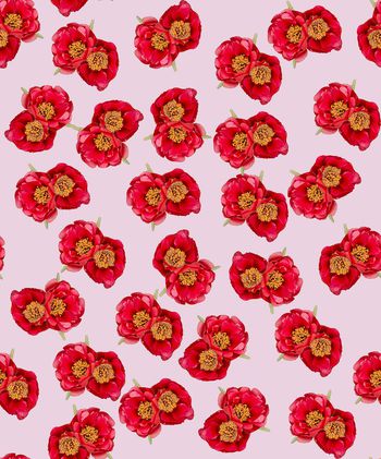 1092186-111117778912