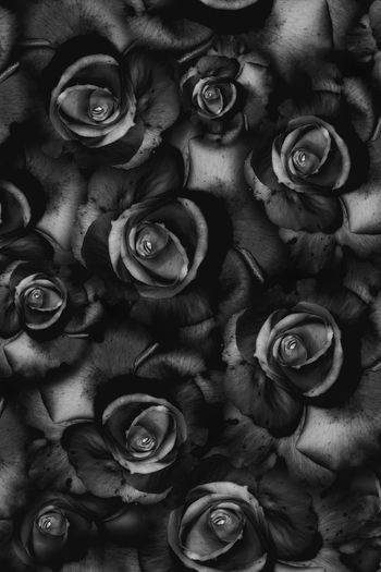 1092580-FLZ18-7-5......