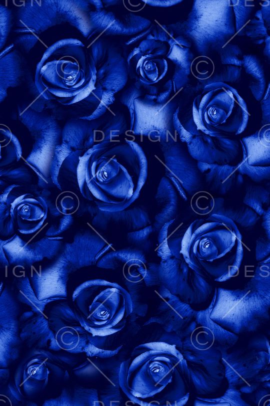 大花印花华亿平台图片