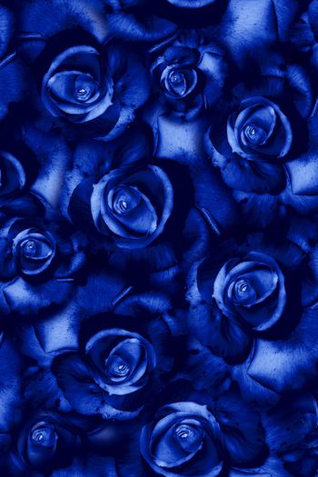 1092581-FLZ18-7-5.....