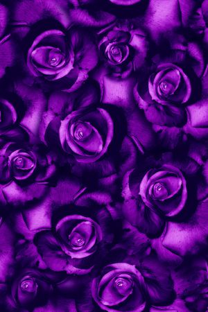 大花印花华亿平台图片