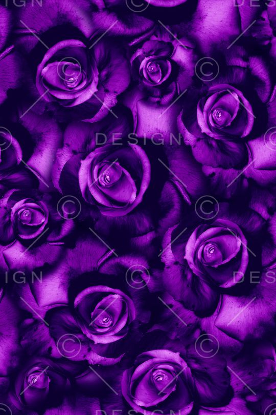 大花印花华亿平台图片