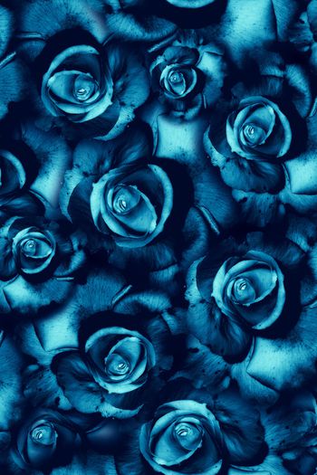 1092583-FLZ18-7-5...