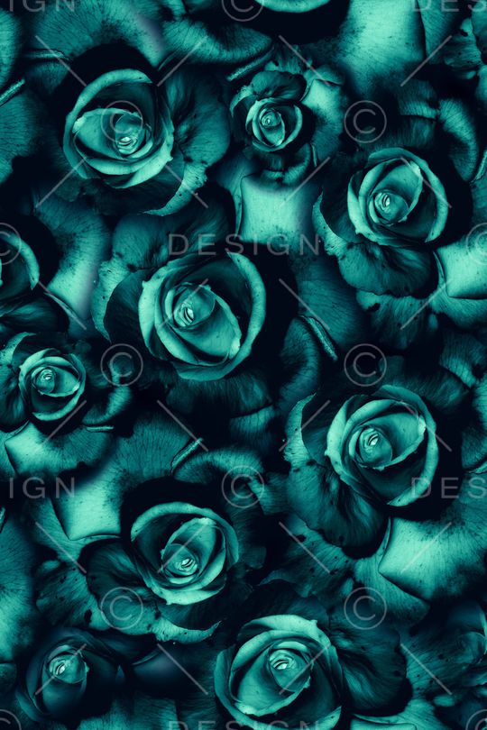 大花印花华亿平台图片