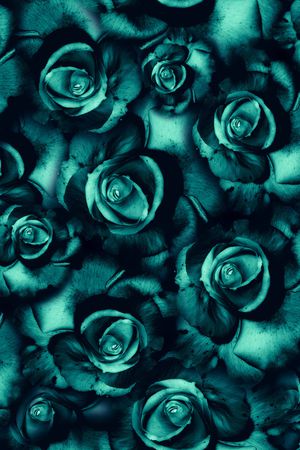 大花印花华亿平台图片