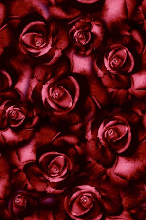 大花印花华亿平台图片