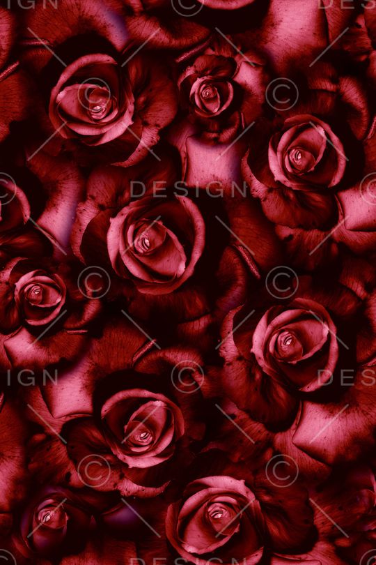 大花印花华亿平台图片