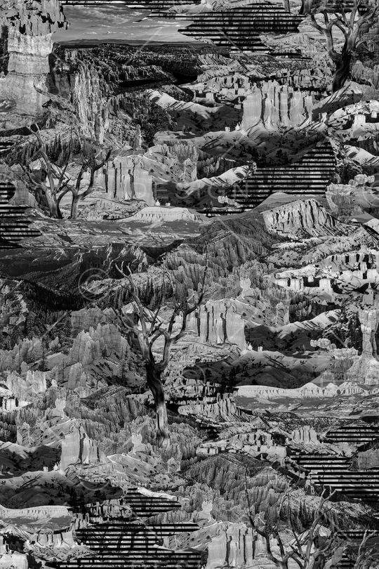 风景景观印花华亿平台图片