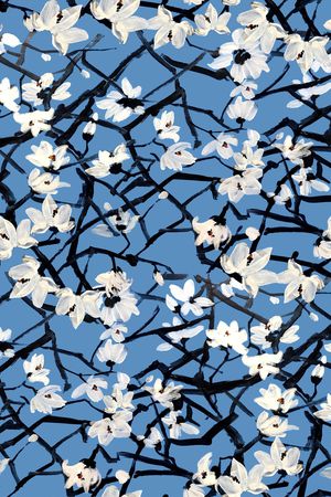 小碎花印花华亿平台图片