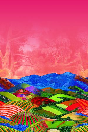 数码华亿平台印花华亿平台图片