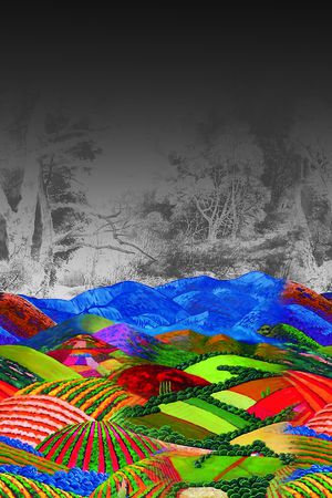 数码华亿平台印花华亿平台图片