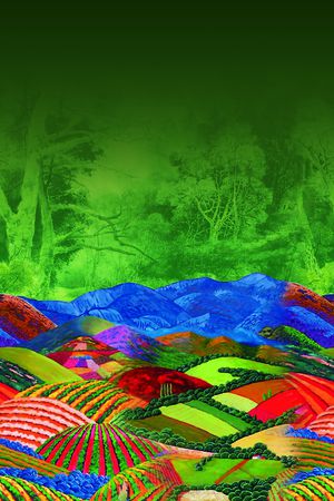 数码华亿平台印花华亿平台图片