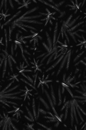 1093411-FLZ18-7-13....