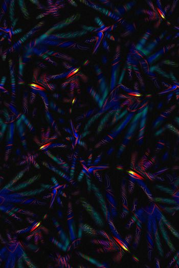 1093412-FLZ18-7-13...