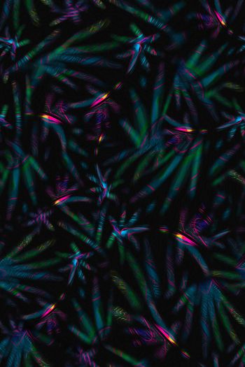 1093413-FLZ18-7-13..