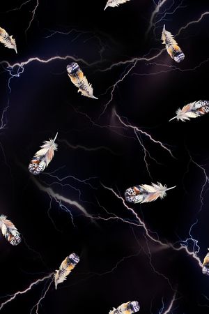 羽毛印花华亿平台图片