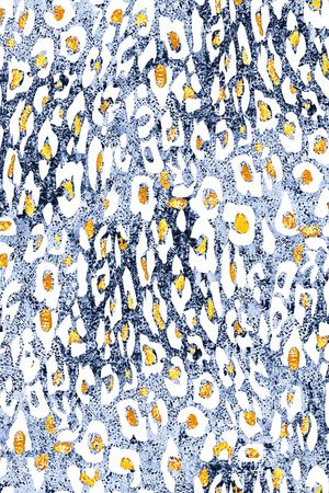 豹纹印花华亿平台图片