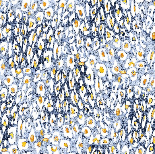 豹纹印花华亿平台图片