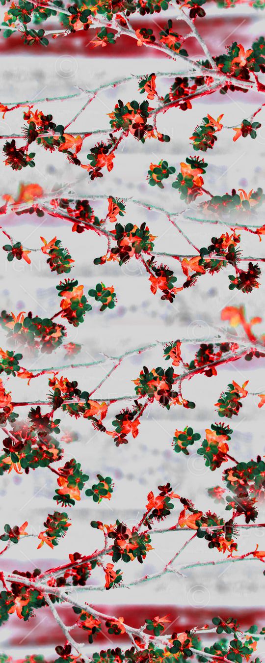 梅花印花华亿平台图片