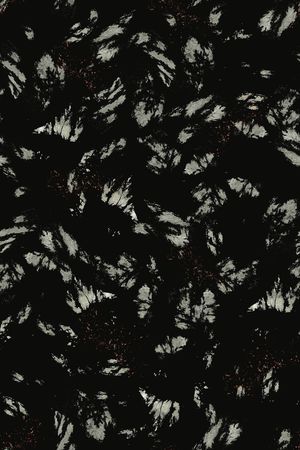 创意印花华亿平台图片