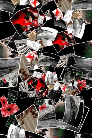 男装印花华亿平台图片