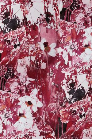 雪纺印花华亿平台图片