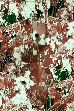 雪纺印花华亿平台图片