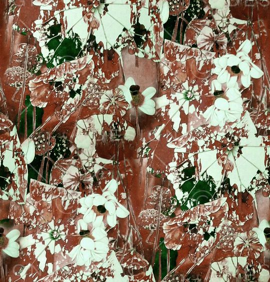 雪纺印花华亿平台图片